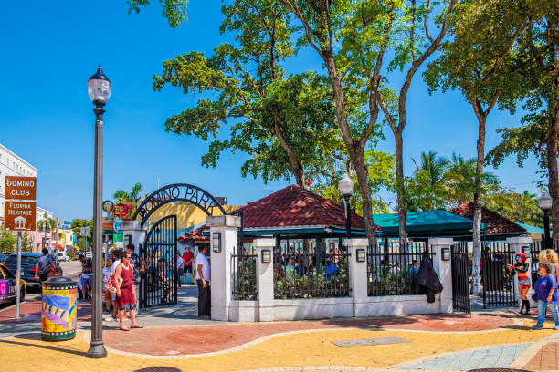 Top 10 Exhilarating Kid-Friendly Attractions in Miami
