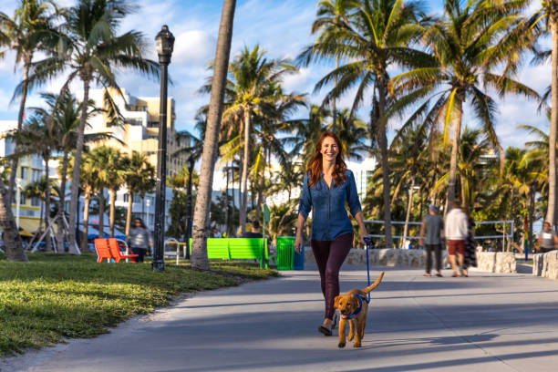 Top 10 Tips & Places to Travel in Miami with Pets