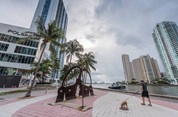 Top 10 Tips & Places to Travel in Miami with Pets