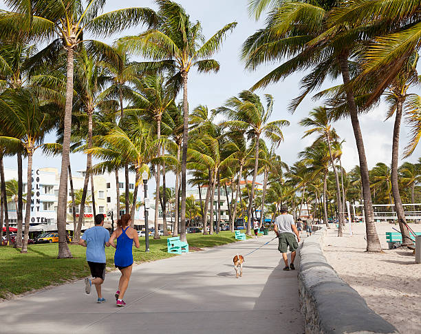 Top 10 Tips & Places to Travel in Miami with Pets