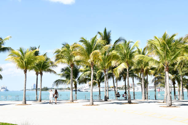 10 Tips on How to Explore Miami Like a Local