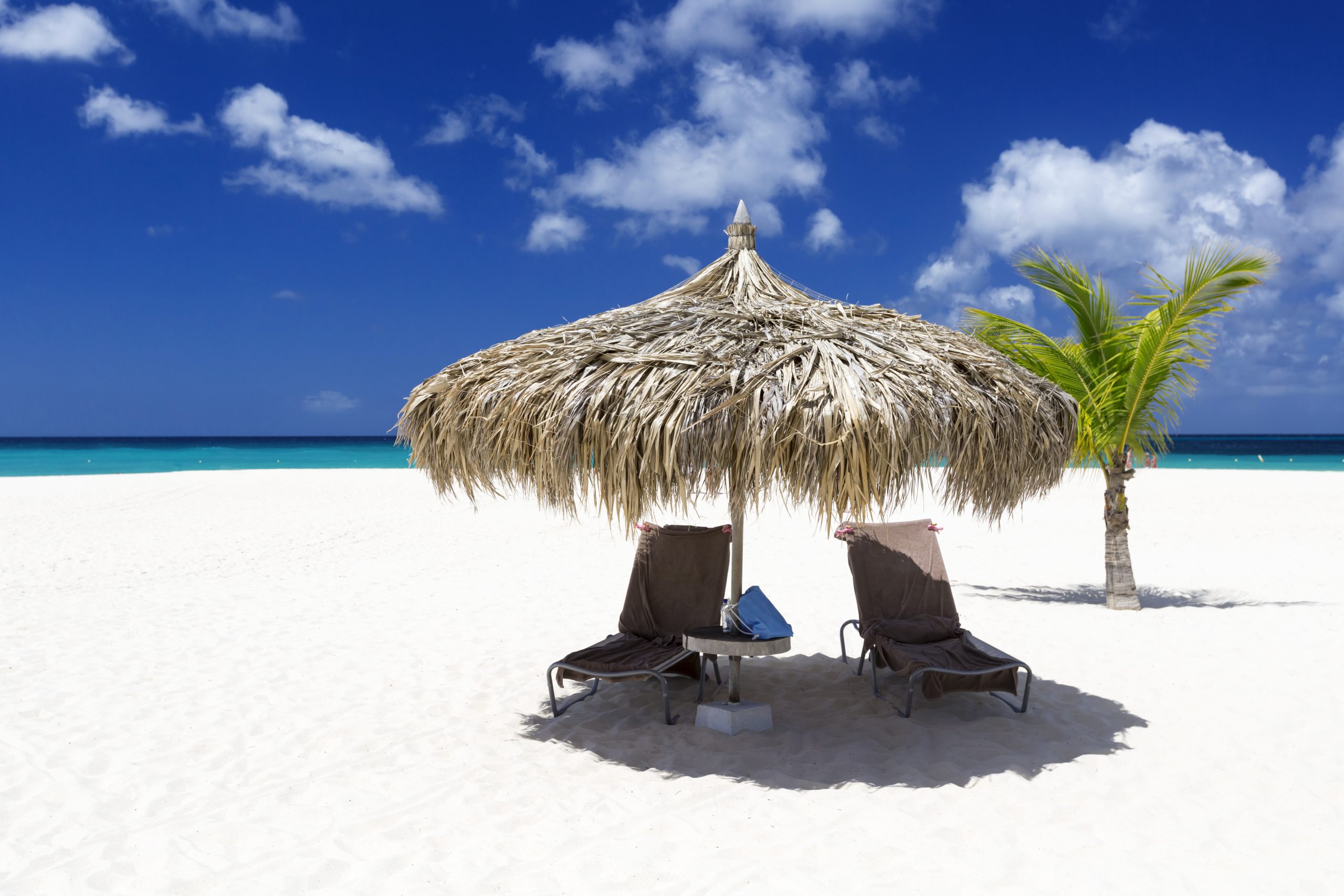 db 316 tropics 075 4127 scaled