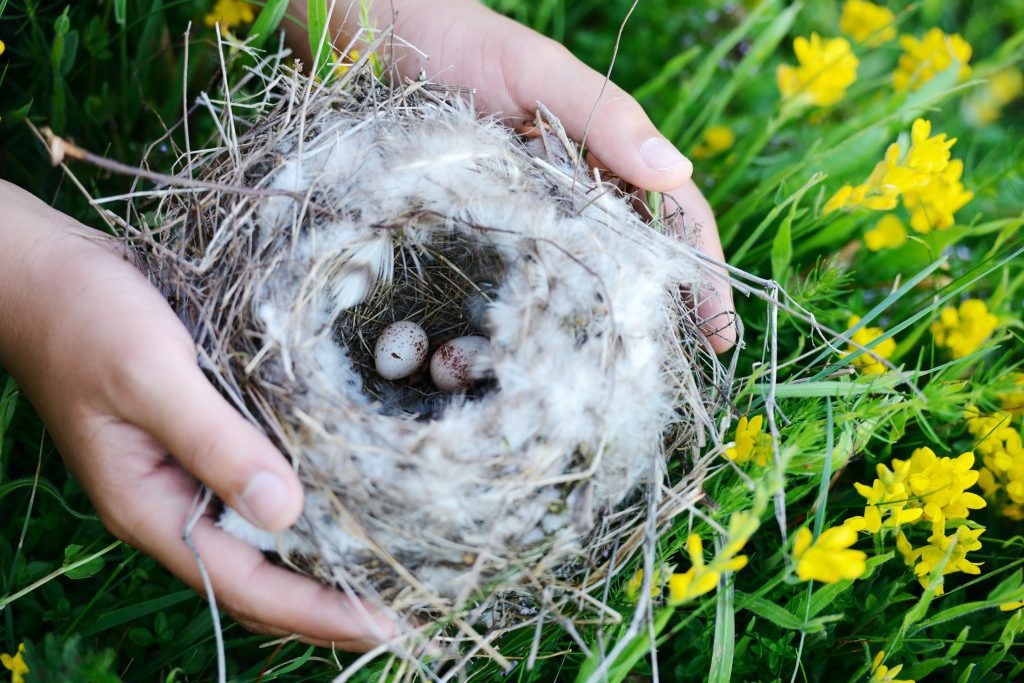 JM 03242016 800 6765