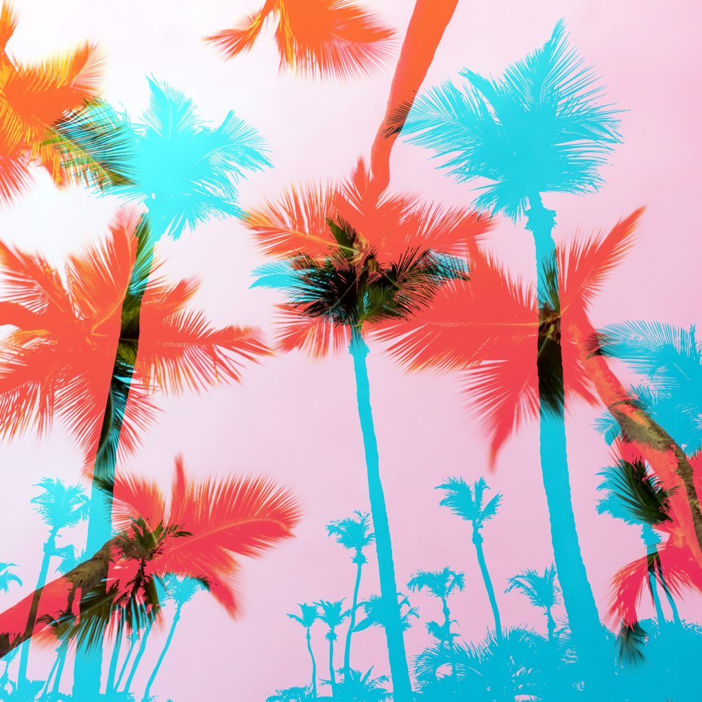 tropical coconut palm tree silhouettes illustration over a purple sunset sky in vector format BKBIiFCSi