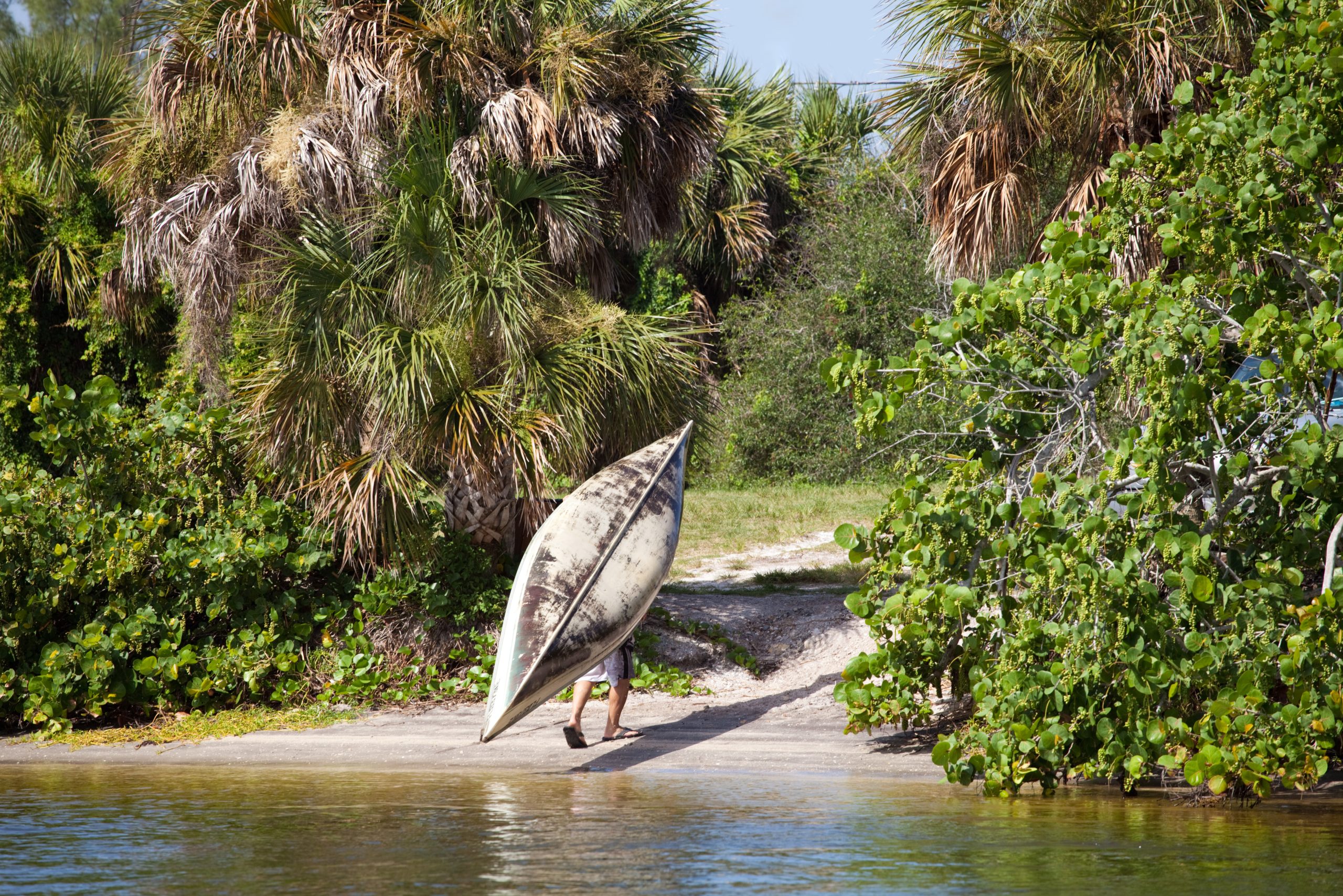 Miami by the Water: 10 Unmissable Waterfront Spots and Boat-Accessible Gems 3 an old canoe being carried out of the water in a tropical area HFYjU0Hs scaled